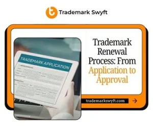 Trademark Renewal Process From Application to Approval