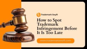 How to Spot Trademark Infringement Before It Is Too Late