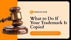 What to Do If Your Trademark Is Copied